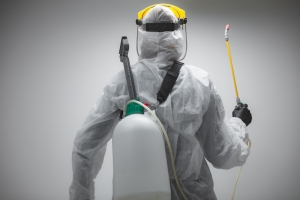 Home Pest Control: Tips to Save the Most Money