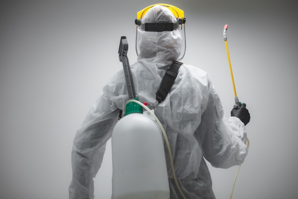 Home Pest Control: Tips to Save the Most Money