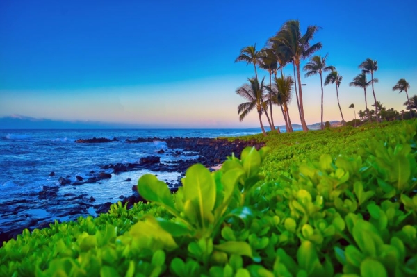 Your Complete Handbook of Best Practices for Selling Your House in Hawaii