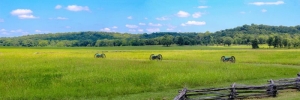 What to Know Before Buying Land in Arkansas