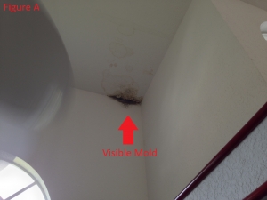 Preparing for, Preventing &amp; Dealing With Fire Damage