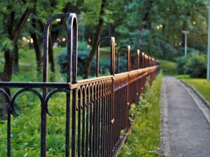 How to Repair and Restore Your Garden After Winter Weather Damage
