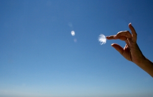 Referrals Start with Relationships, and Technology Can Help