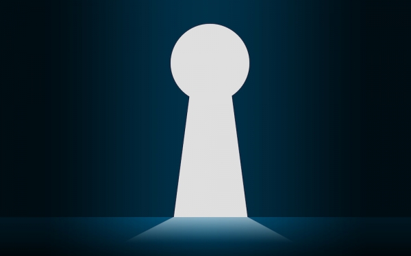 Landlord’s Guide To Simple Yet Effective Tenant Security