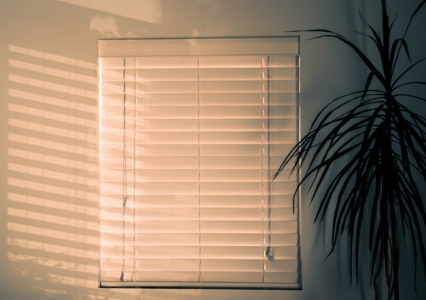 Do Wood Blinds Warp in the Sun - What to Know