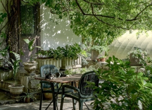5 Ways to Level Up Your Garden