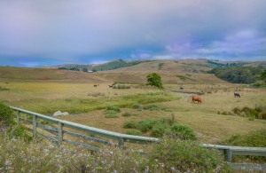 City Mouse, Country Mouse: The Ongoing Flight To Wide Open Spaces