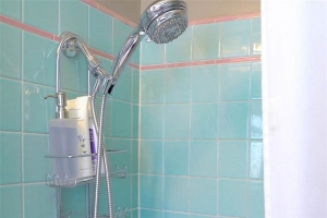 Hand held shower head
