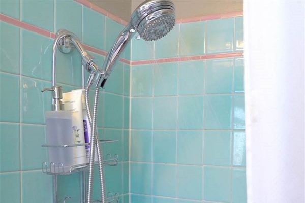 Hand held shower head