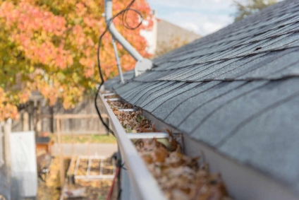 How to Keep Your Roof in Great Condition