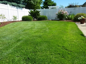 A Nice Yard Equals A Quick Sell