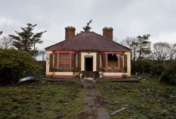 4 Tips for Newbies Approaching a Real Estate Auction