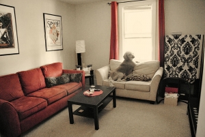 Finding the right home and the optimal financial solution