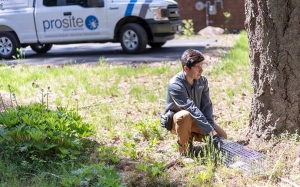 Top 10 Tips for Humane Pest Control In Your House