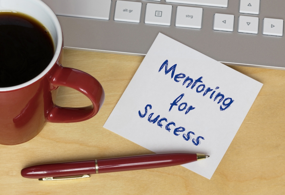 The Mentoring Mindset!