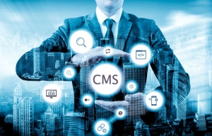 From Startups to Enterprises: Finding a CMS That Scales With You