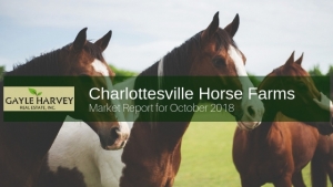 Charlottesville VA horse farms for sale- The horse farms for sale in Charlottesville VA offer you the opportunity to enjoy an active, outdoor life all year long.