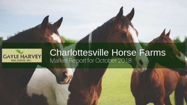 Charlottesville VA horse farms for sale- The horse farms for sale in Charlottesville VA offer you the opportunity to enjoy an active, outdoor life all year long.