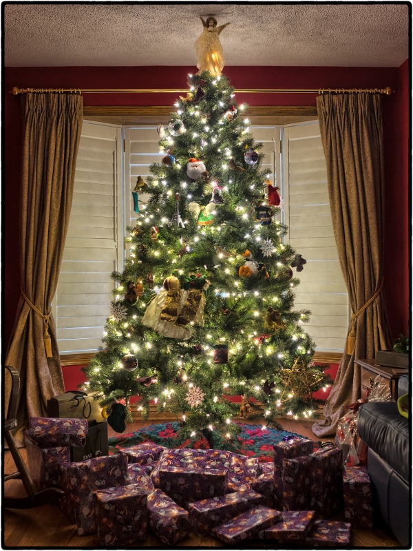 The Right Christmas Tree For Your House