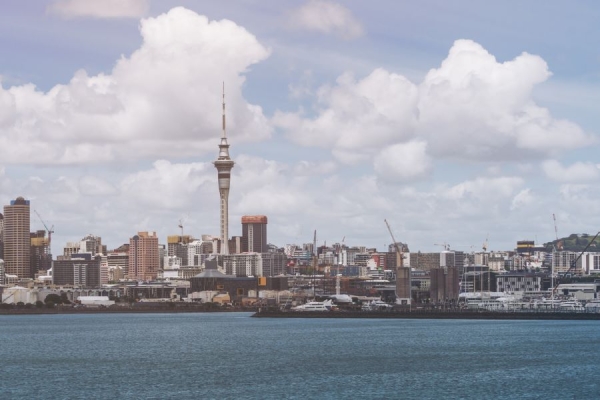 Top 10 Essential Tips for a Smooth City-to-City Move in NZ