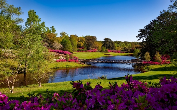 The Perfect Landscaping for Your Home