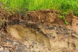 What to Do When You Purchase a Property With Erosion Problems