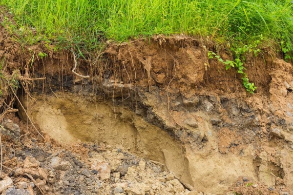 What to Do When You Purchase a Property With Erosion Problems