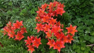 11 curb appeal tips to sell your home quicker