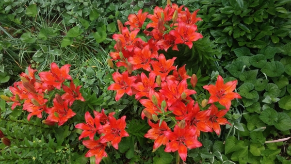 11 curb appeal tips to sell your home quicker