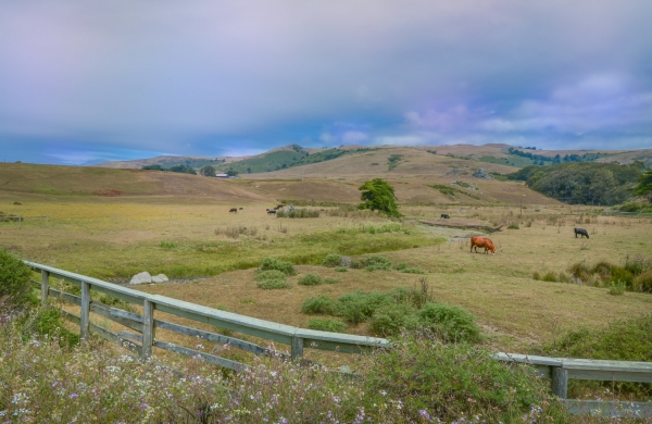 How to Determine the Value of Land: A Simple Guide