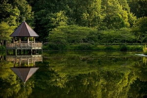 Pros and Cons of Living in Woodbridge, VA