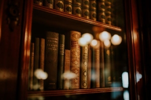 The Fabric of Families: Weaving through Florida’s Family Law Complexities
