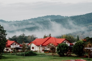 Protecting Your Home From Wildfires