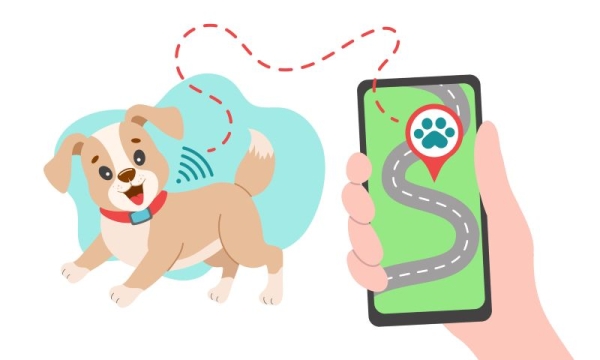 How GPS Dog Fences Help Protect Your Pet Outdoors
