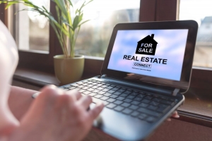 Maximizing Your Real Estate Website for Ecommerce Success: Essential Tips from Lara Rahib