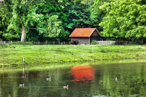 Six Flat Shed Roof Restoration Tips
