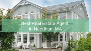 Best Real Estate Agent in Needham MA
