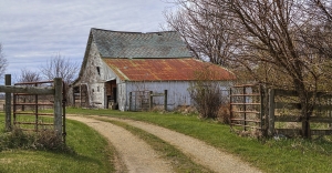 What Type of Outbuilding Do You Need for Your Rural Property or Farm