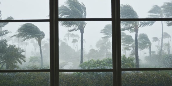 Top 5 Hurricane Impact Doors &amp; Windows Companies in Coastal Florida
