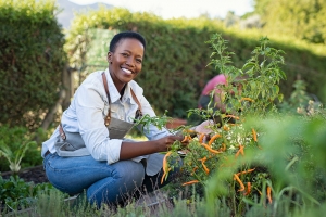 What To Do In The Fall Garden When Selling Your Antioch CA Home