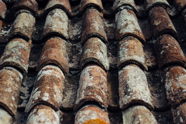 Signs of Roof Damage