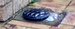 Are Blocked Drains a Health risk?