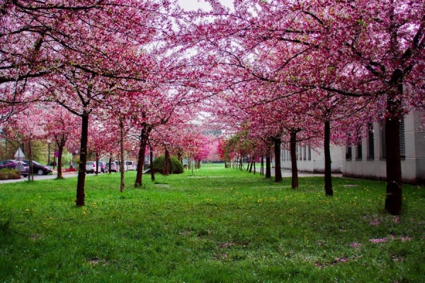 Why Spring is the Prime Time to Sell Your Alabama Home