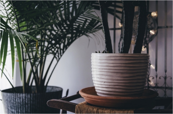 5 Things to Make Your Rental Place Stand Out