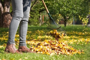 Top tips for Autumn cleaning