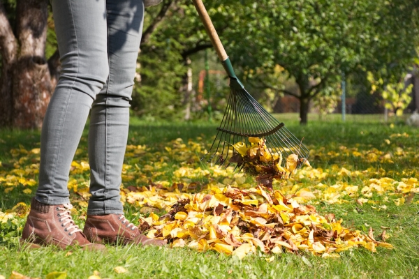 Top tips for Autumn cleaning