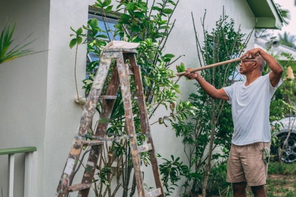 Best Ways to Add Value to Your Property This Spring