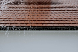 What to Do When Weather Impacts Your Siding