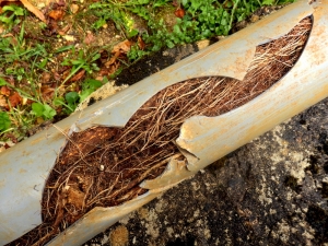 What Is Drain Jetting And When Do You Need It?