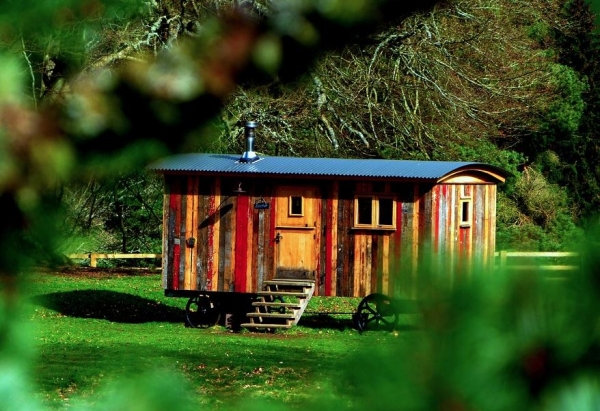 5 Green Solutions to Terrible Tiny Home Problems